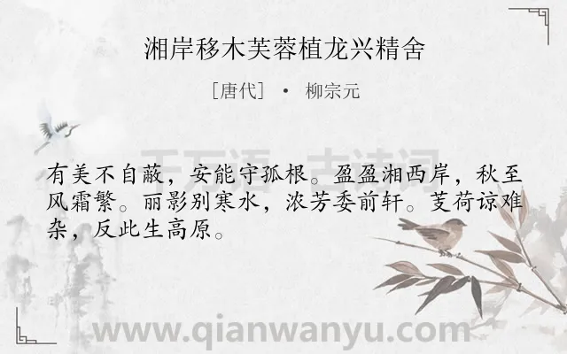 《湘岸移木芙蓉植龙兴精舍》作者是唐代的柳宗元.本诗词属于花;抒情;孤寂;愁苦类诗词.诗词全文约共48字.