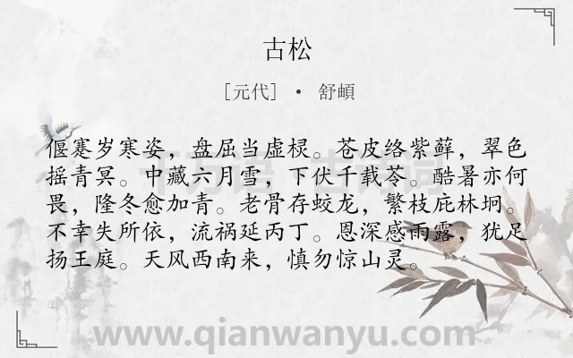 《古松》作者是元代的舒頔.诗词全文约共96字.