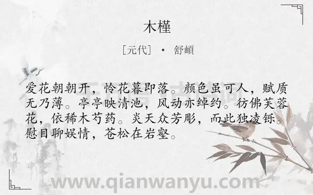 《木槿》作者是元代的舒頔.诗词全文约共72字.