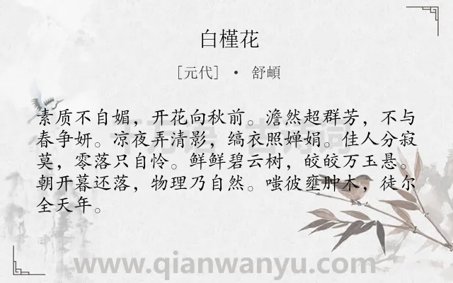 《白槿花》作者是元代的舒頔.诗词全文约共84字.