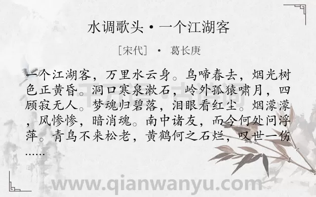 《水调歌头·一个江湖客》作者是宋代的葛长庚.诗词全文约共114字.