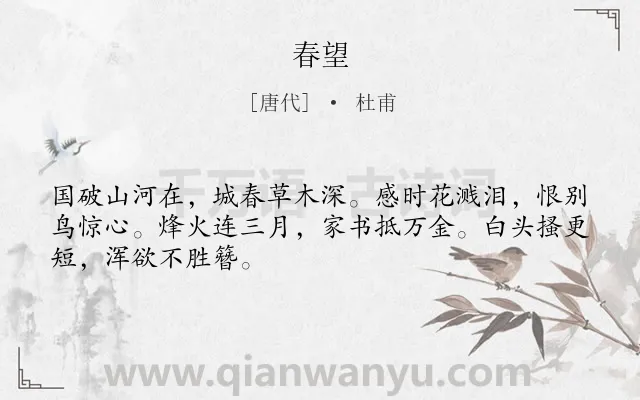 《春望》作者是唐代的杜甫.本诗词属于高二;高一;八年级;六年级;五年级;四年级;唐诗三百首;初中古诗;爱国;战争;忧国忧民;早教;最美类诗词.诗词全文约共48字.