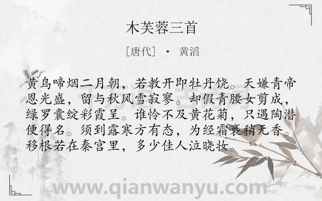 《木芙蓉三首》作者是唐代的黄滔.诗词全文约共96字.