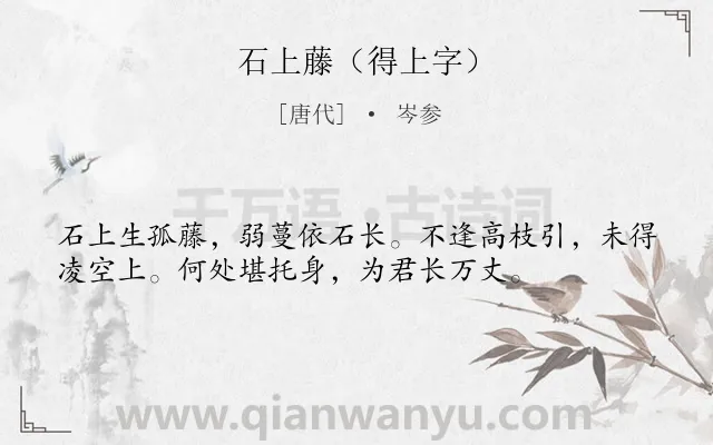 《石上藤（得上字）》作者是唐代的岑参.诗词全文约共36字.