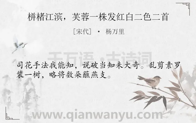 《栟楮江滨，芙蓉一株发红白二色二首》作者是宋代的杨万里.诗词全文约共32字.