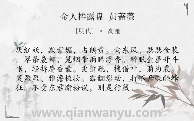 《金人捧露盘 黄蔷薇》作者是明代的高濂.诗词全文约共95字.