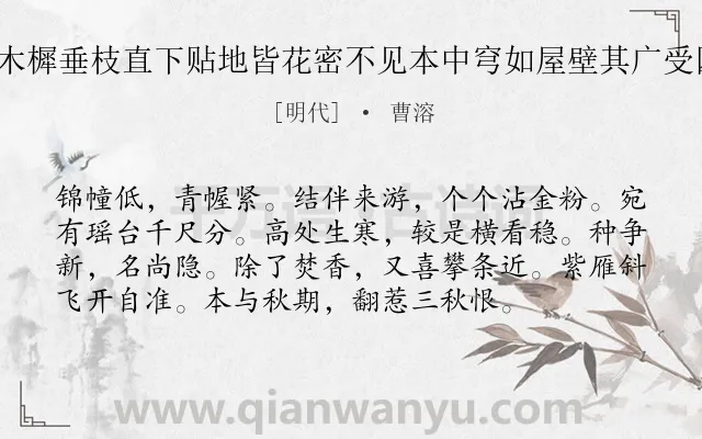 《苏幕遮 城东柴家木樨垂枝直下贴地皆花密不见本中穹如屋壁其广受四筵与他种异记之》作者是明代的曹溶.诗词全文约共76字.