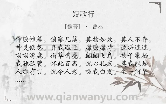 《短歌行》作者是魏晋的曹丕.本诗词属于高三;高二;高一;七年级;六年级;五年级;二年级;一年级类诗词.诗词全文约共120字.