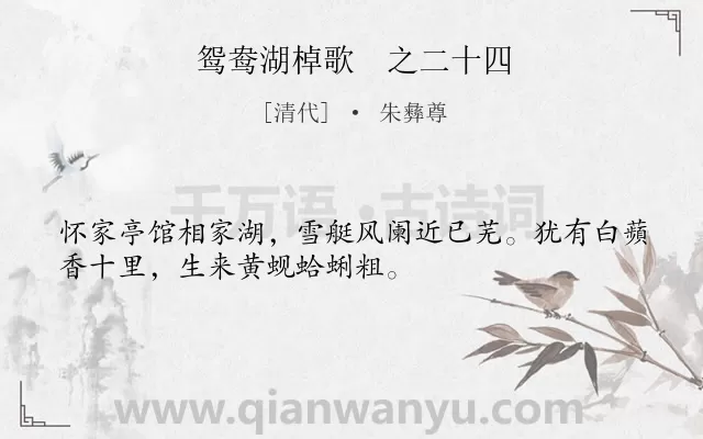 《鸳鸯湖棹歌　之二十四》作者是清代的朱彝尊.诗词全文约共32字.