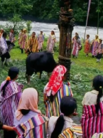 卡雀哇节是哪个少数民族的节日？这个节日举行什么活动？